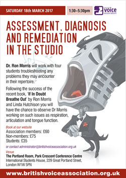 Assessment, diagnosis and remediation in the studio - poster