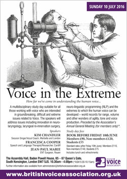 Voice in the Extreme poster